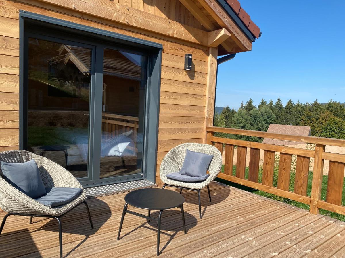 L'Adret Du Temps Chalet 10 Personnes 170M2 Gérardmer Exteriör bild